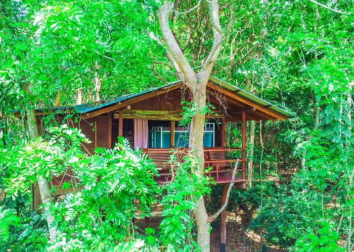 Jungle Host Hostel And Tree House