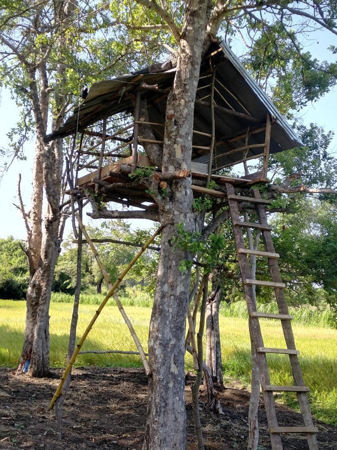 Resort The Nature Park Sigiriya