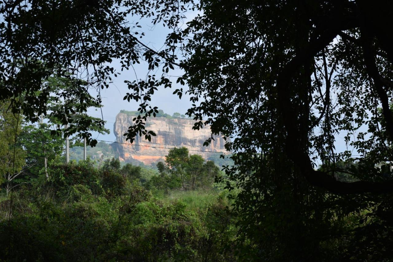 Guest house Relax Nature Sigiriya