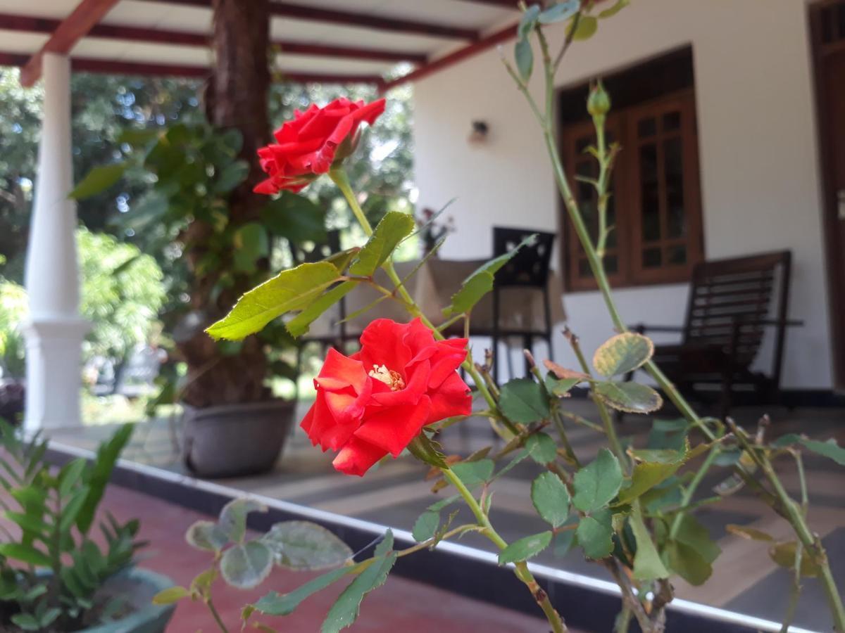 Danara Homestay *