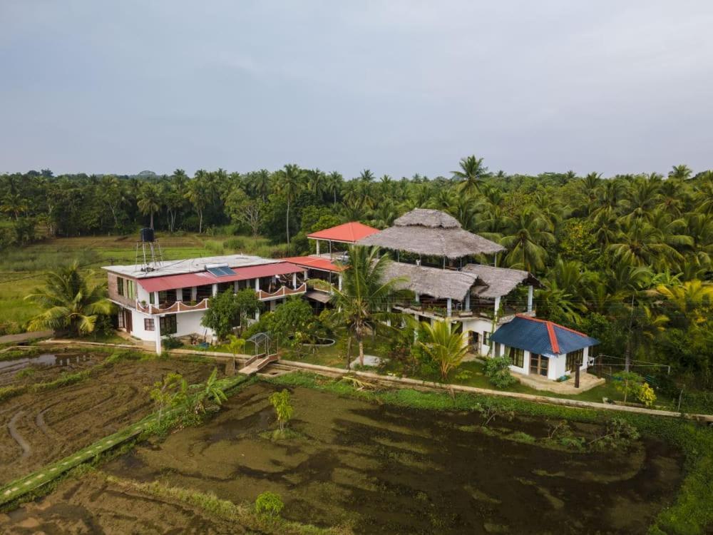 Nelu Guest house 3*