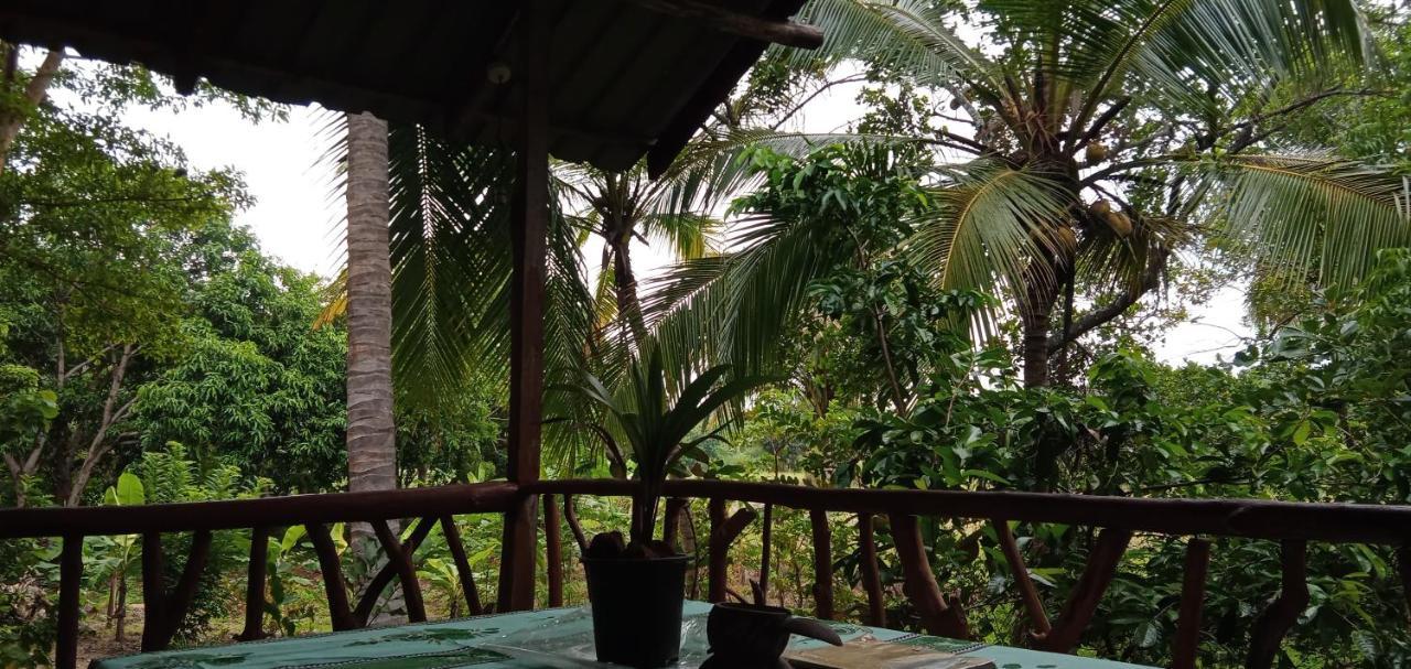 Farm stay Sigiri Panaromic Tree House