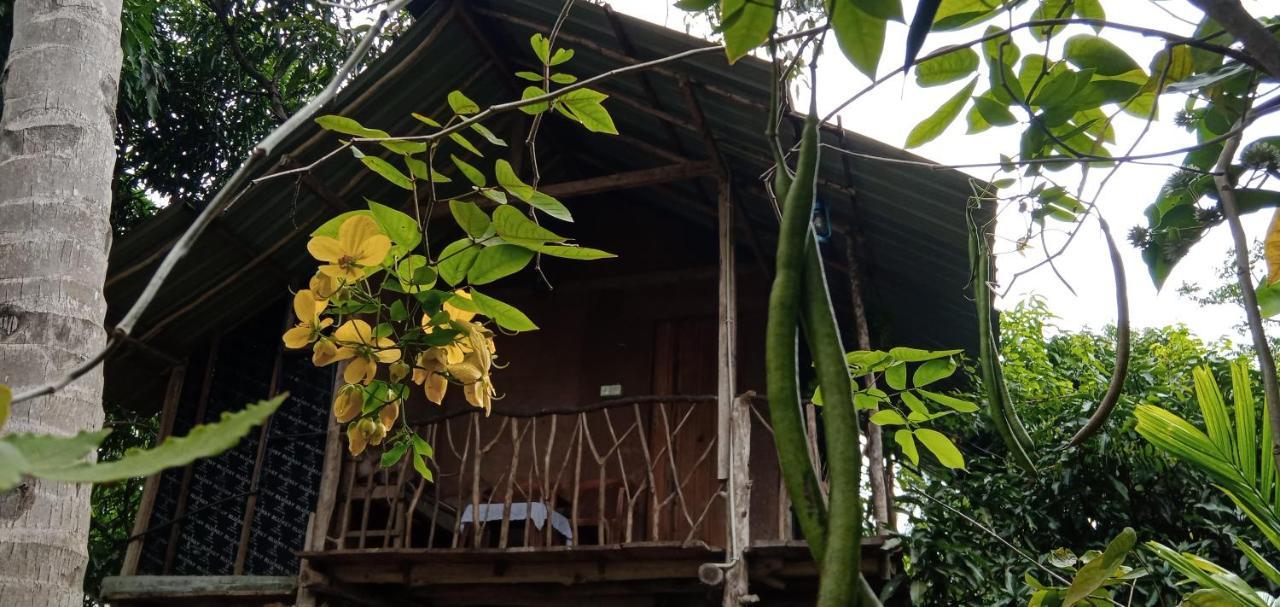 Farm stay Sigiri Panaromic Tree House Sigiriya