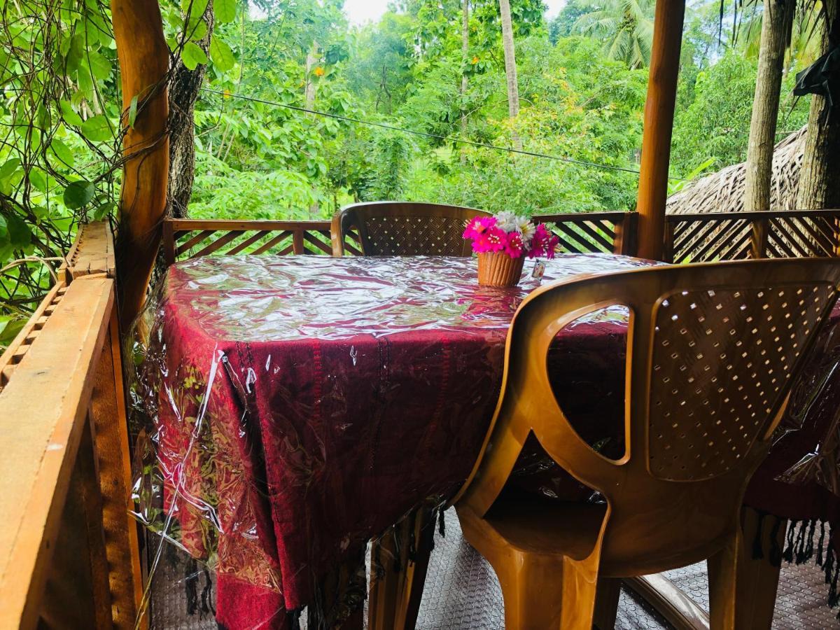 Sigiri Lion Eco Palace Guest house Sigiriya