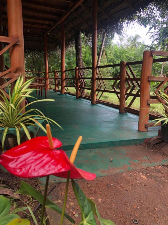 Sigiri Lion Eco Palace Guest house
