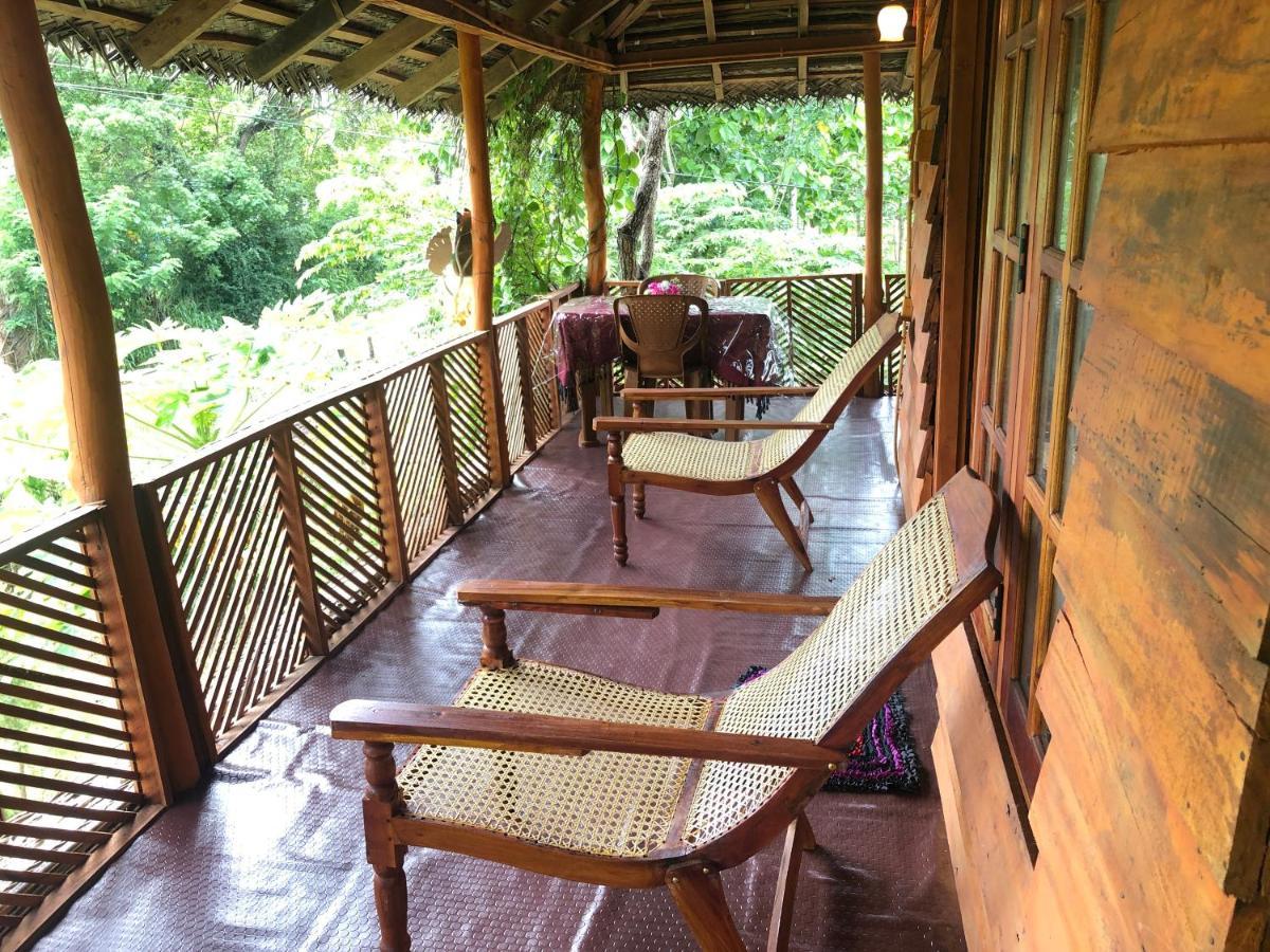 Guest house Sigiri Lion Eco Palace