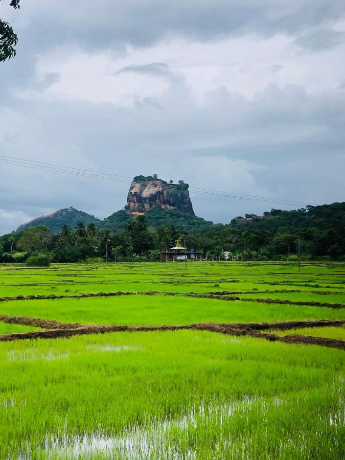 Guest house Sigiri Lion Eco Palace Sigiriya