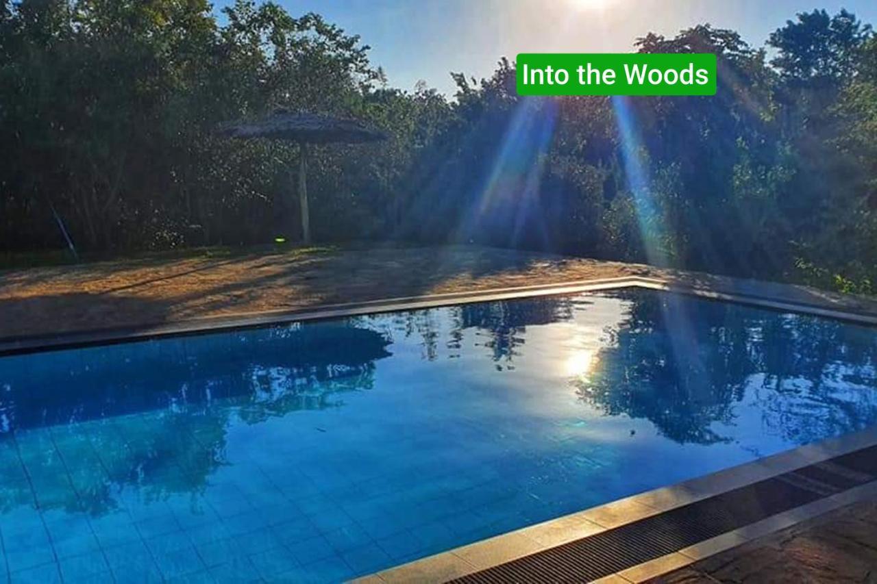 Wild Air Hotel 4*