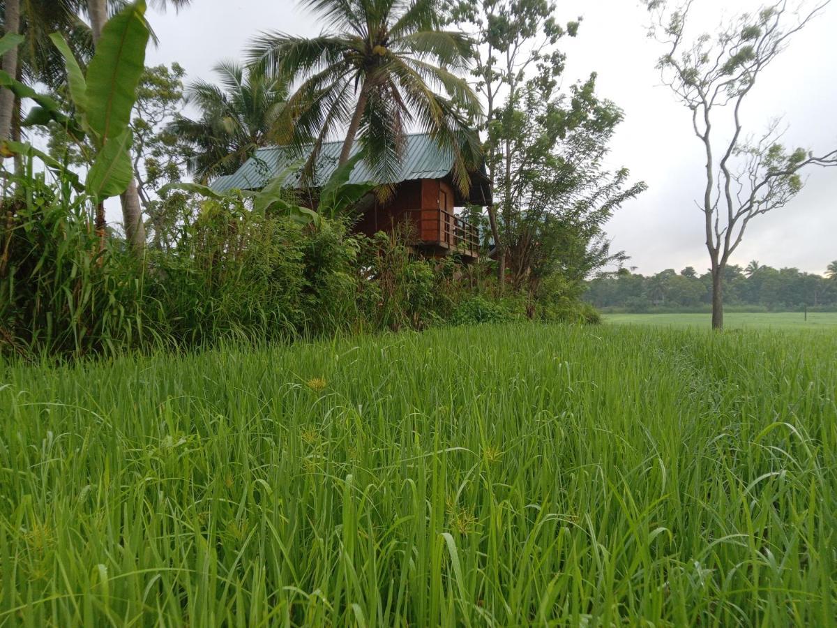 Paddy Field Hut Lodge *