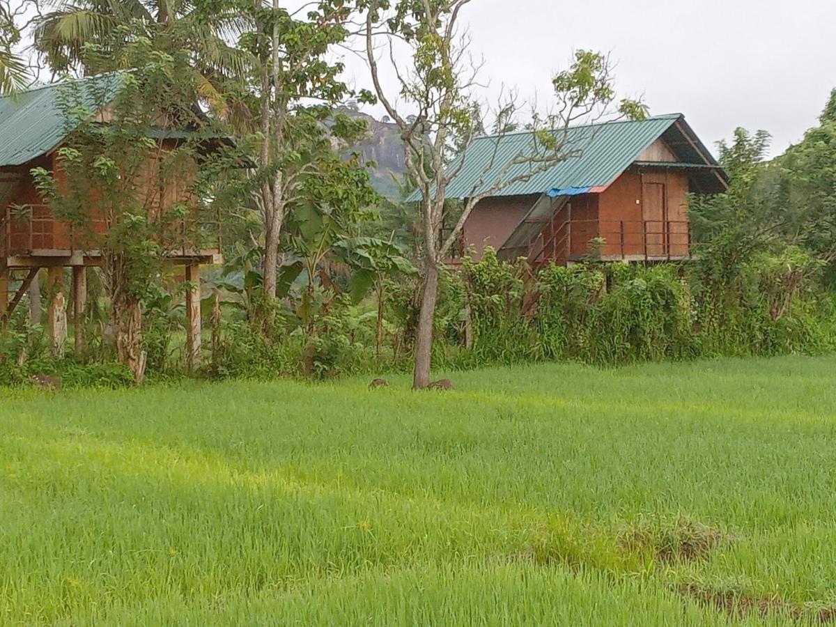 Paddy Field Hut