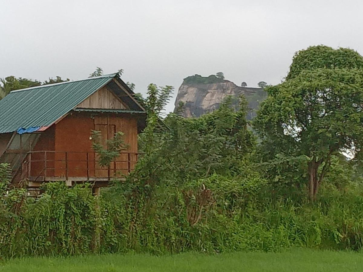 Paddy Field Hut