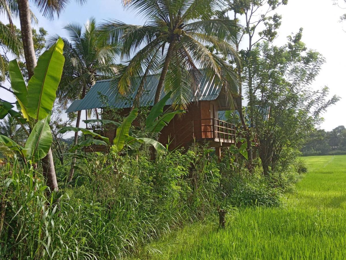Paddy Field Hut * Sigiriya