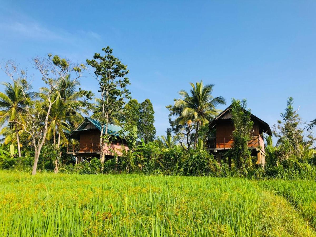 Paddy Field Hut Lodge Sigiriya