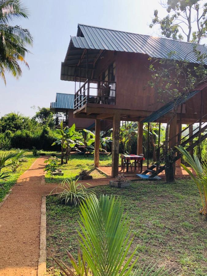 Paddy Field Hut Lodge