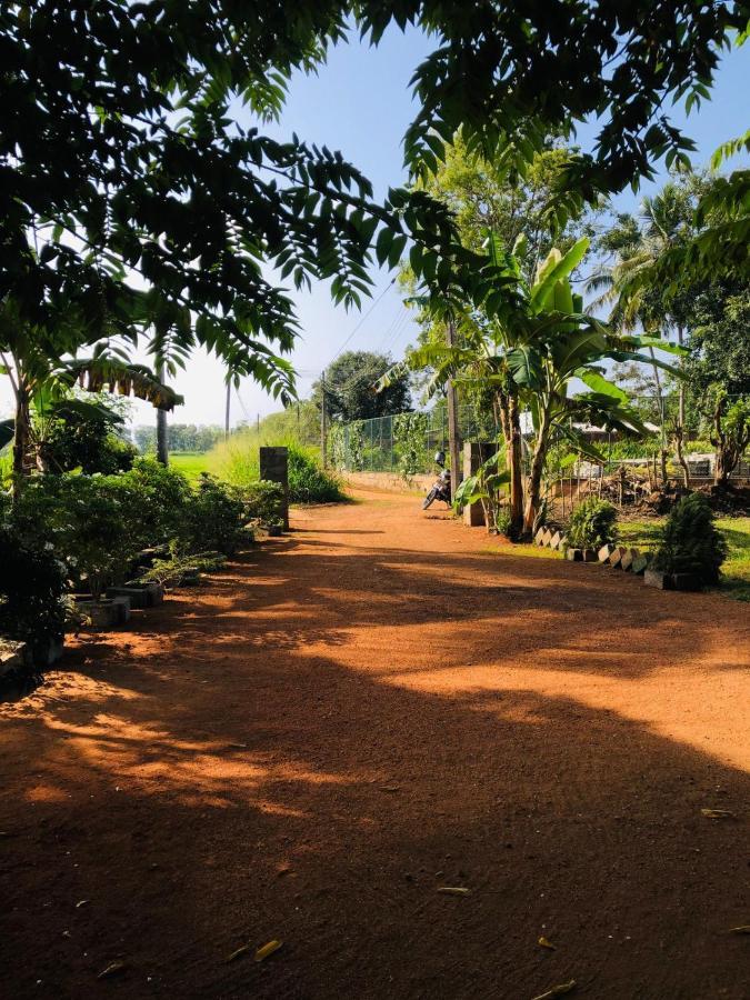 Paddy Field Hut Lodge *