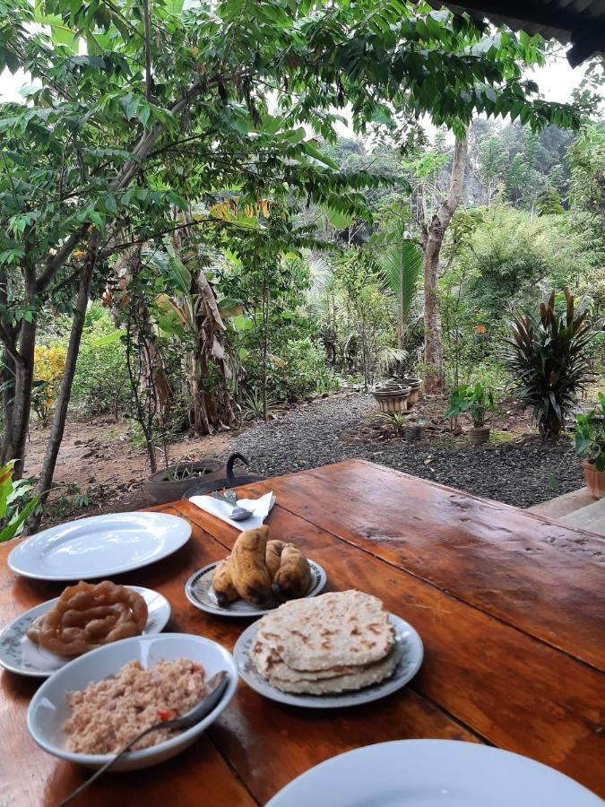 Organic Farm Wish Prabha View Sigiriya
