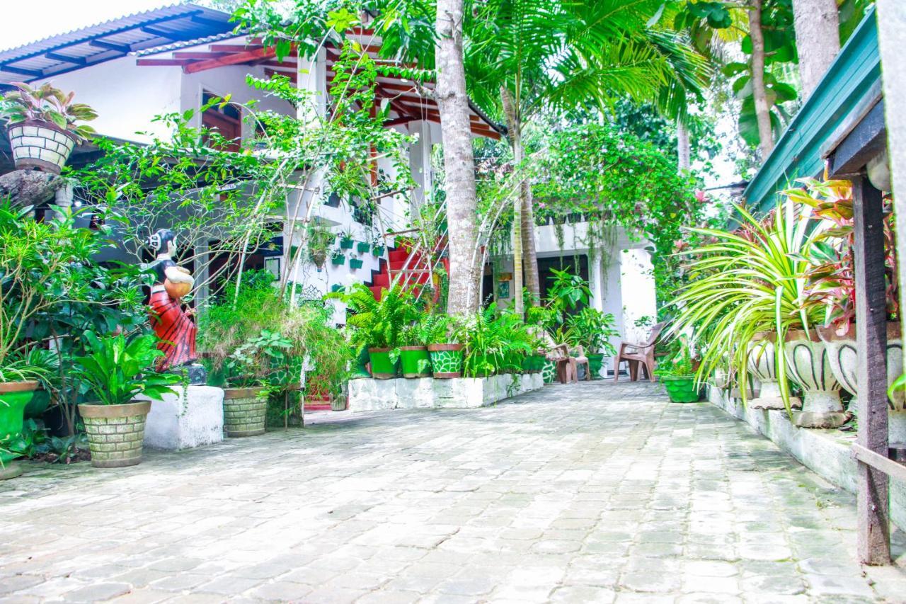 Homestay Sigiri Tarushan *