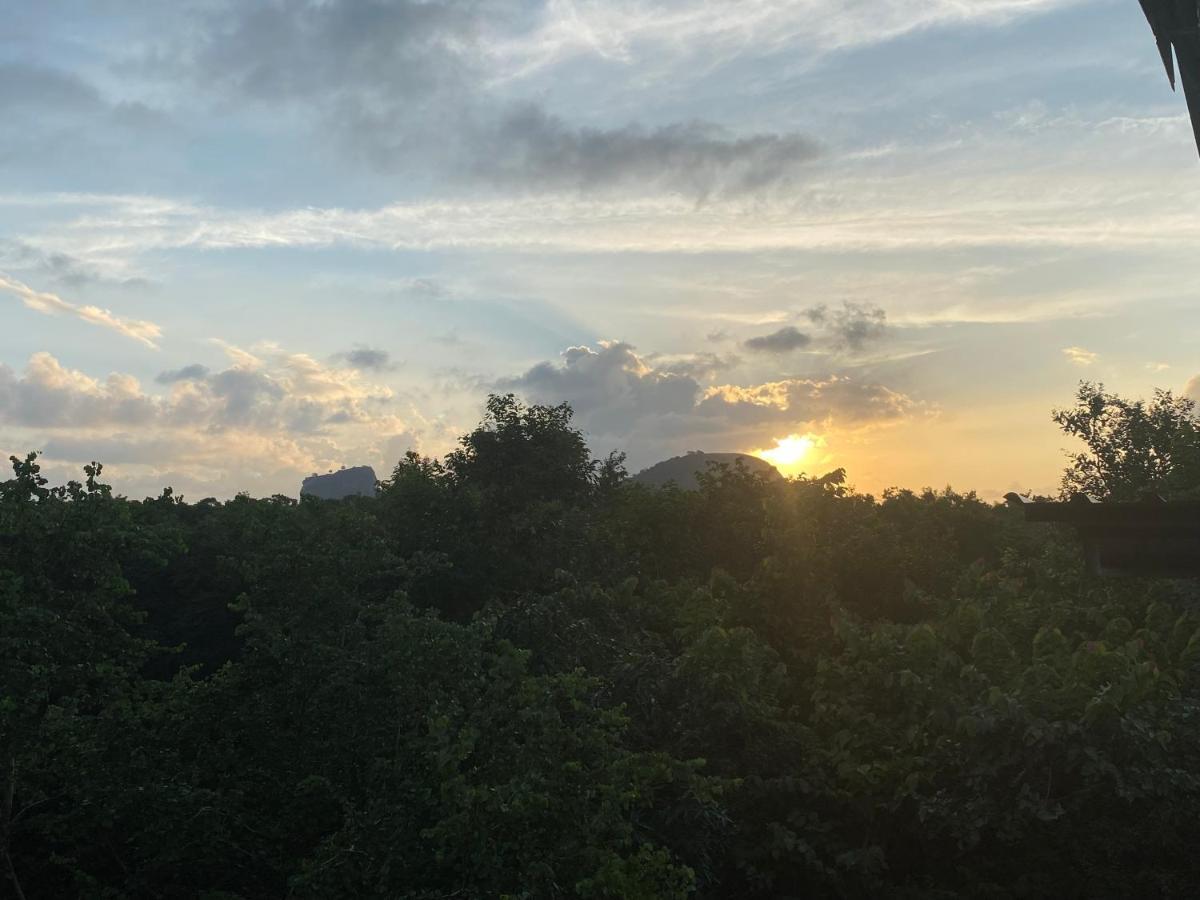 Ima * Sigiriya
