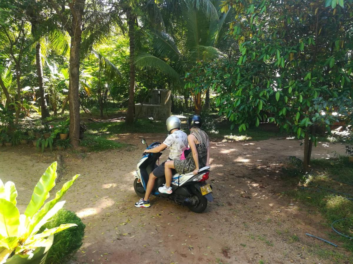 Sisira - Homestay *
