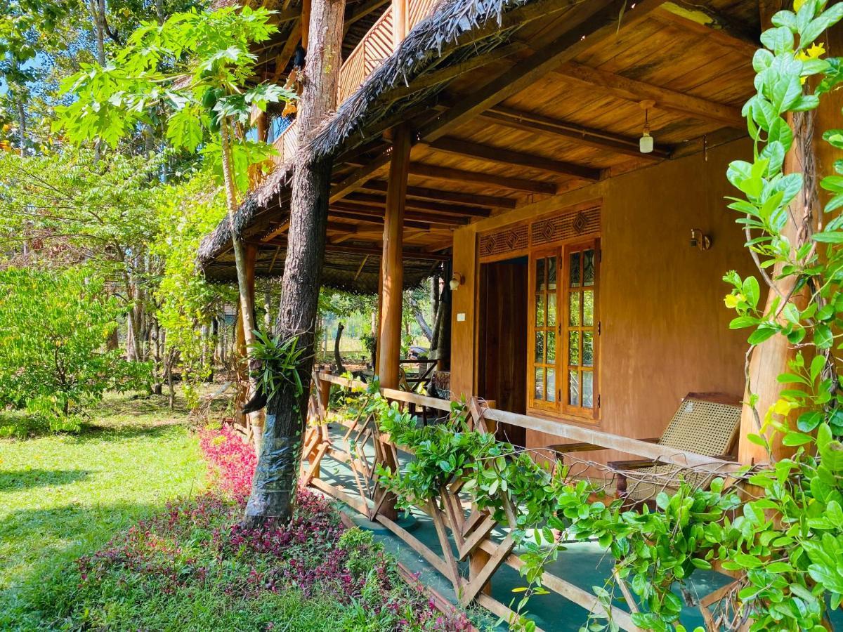 Sigiri Lion Eco Palace Sigiriya