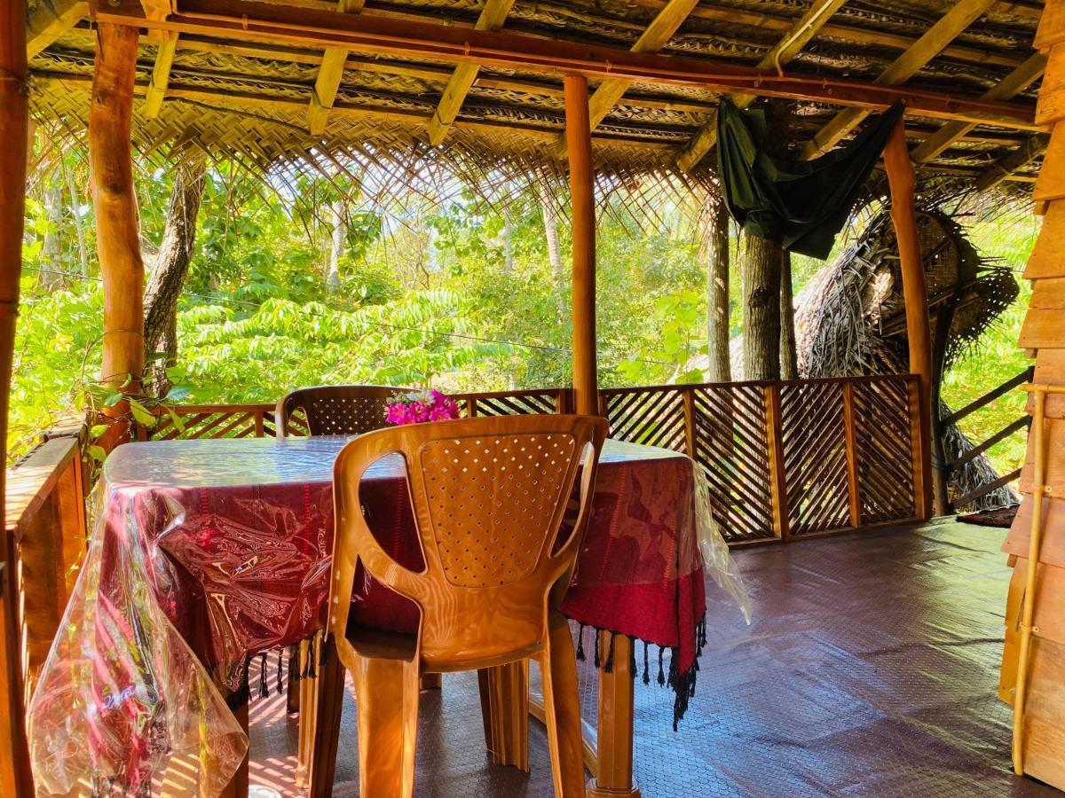 Sigiri Lion Eco Palace Guest house