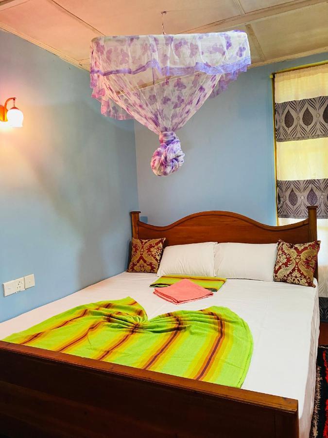 Sigiri Lion Eco Palace Guest house Sigiriya