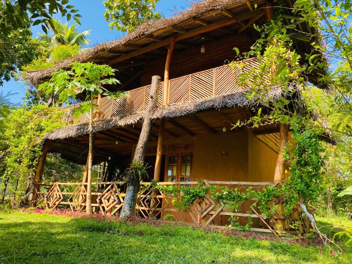 Guest house Sigiri Lion Eco Palace Sigiriya