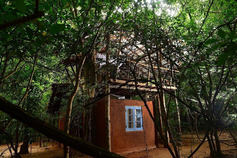 Back Of Beyond - Pidurangala * Sigiriya