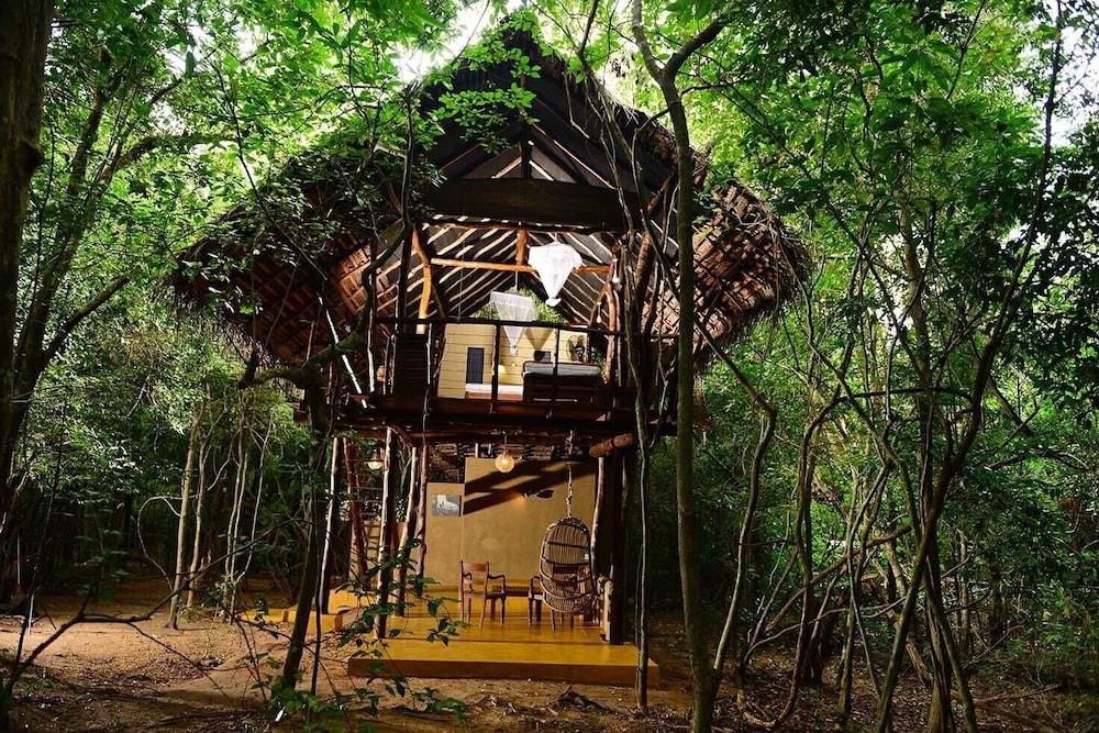Back Of Beyond - Pidurangala Lodge Sigiriya