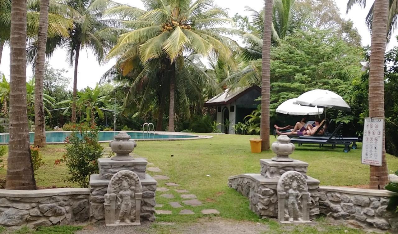 The Nature Park