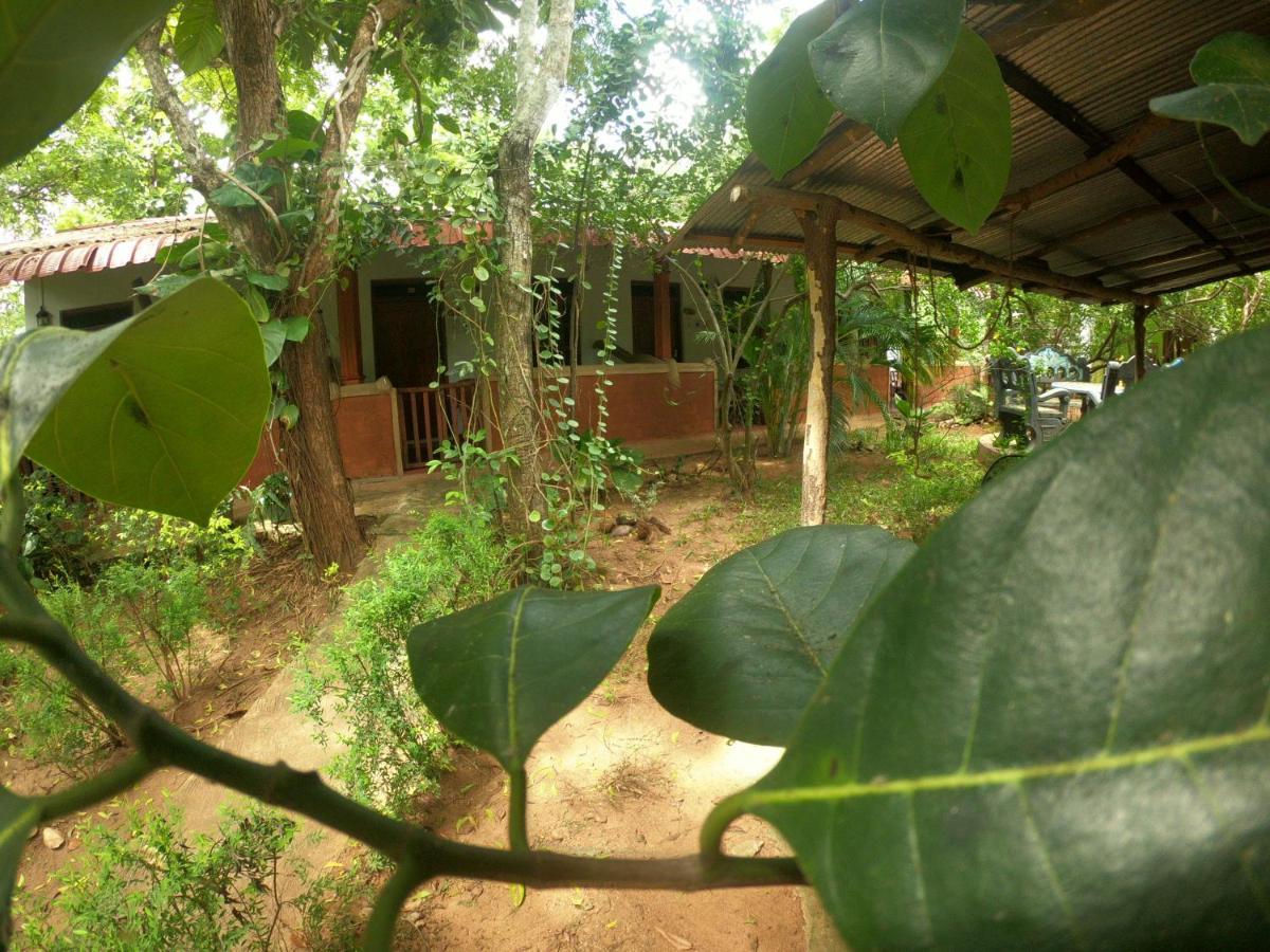 New Sisira Natural Sigiriya