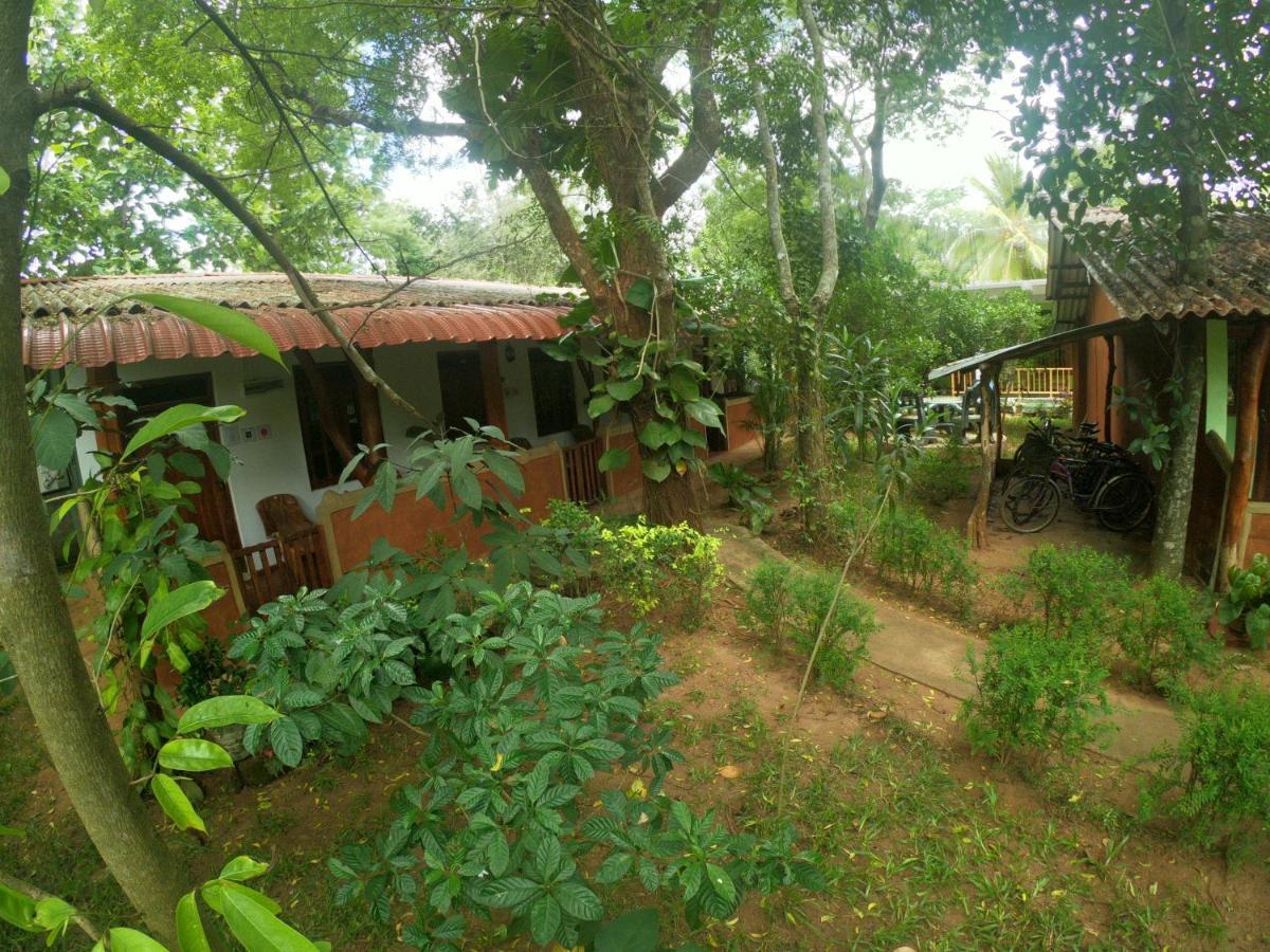 New Sisira Natural Bed & Breakfast Sigiriya