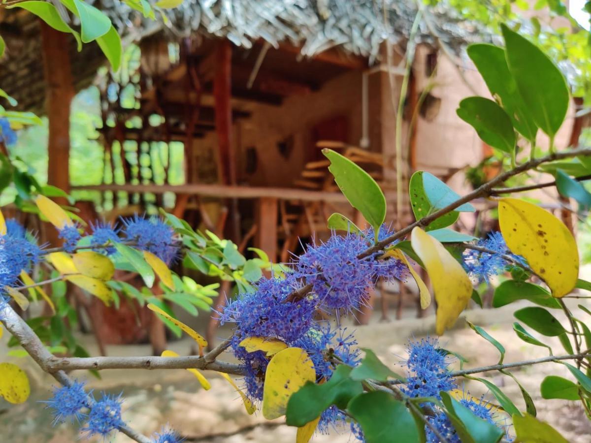 Guest house Relax Nature