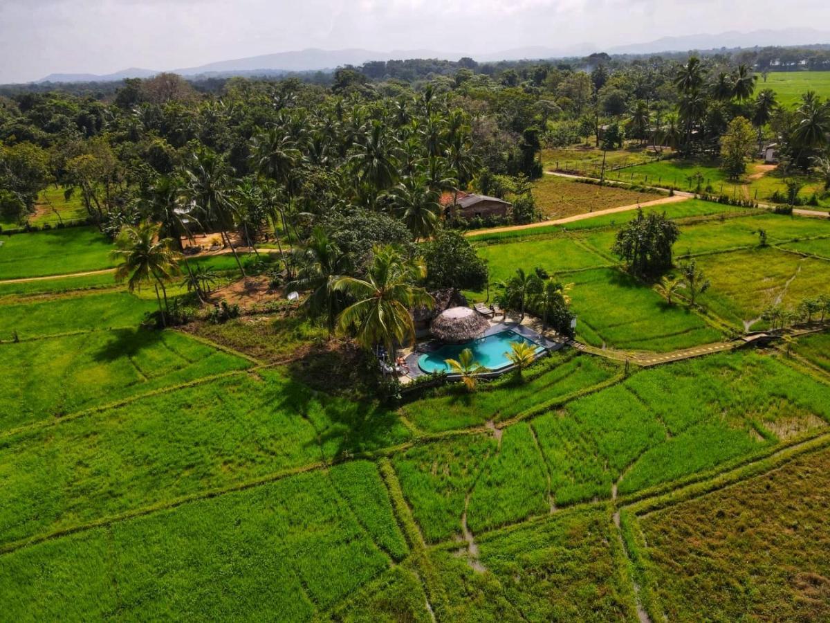 Nelu Guest house