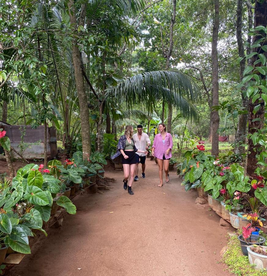 Ruk Sewana Tree House Apartment
