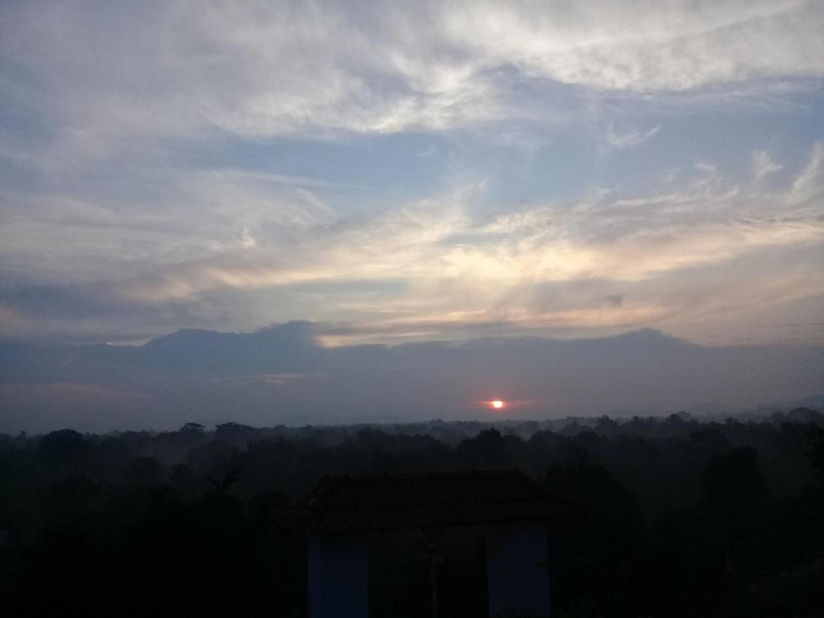 Homestay Amba Sewana