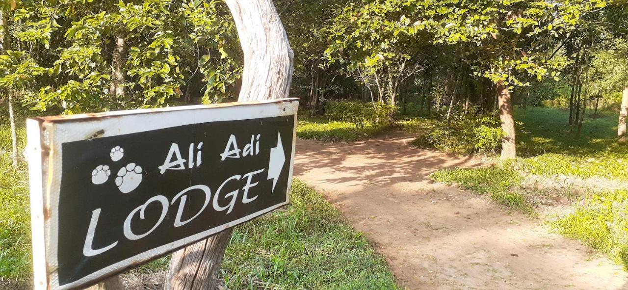 Ali Adi Eco Sigiriya