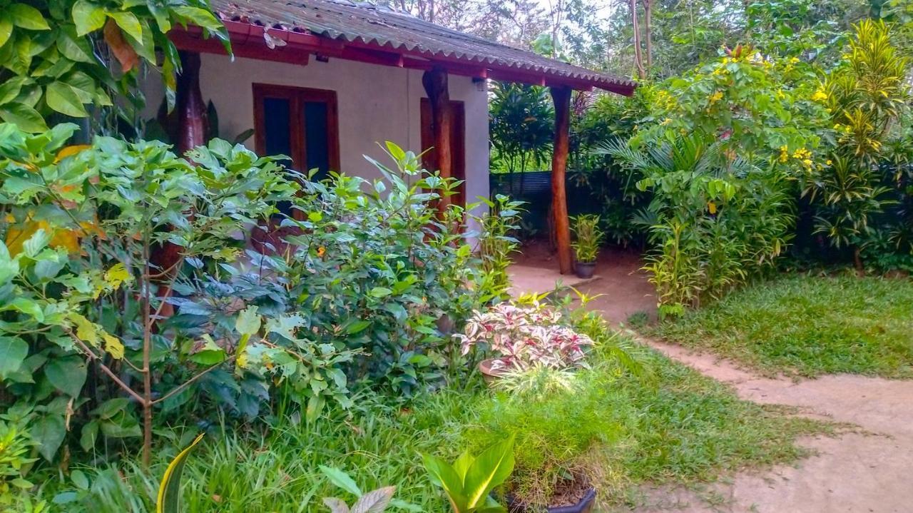 Gangula Eco Homestay *