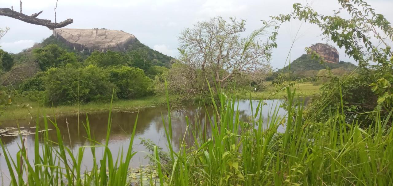 Rock * Sigiriya
