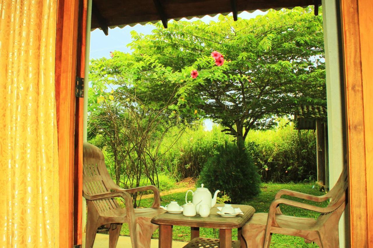 Hut Nature Sigiriya
