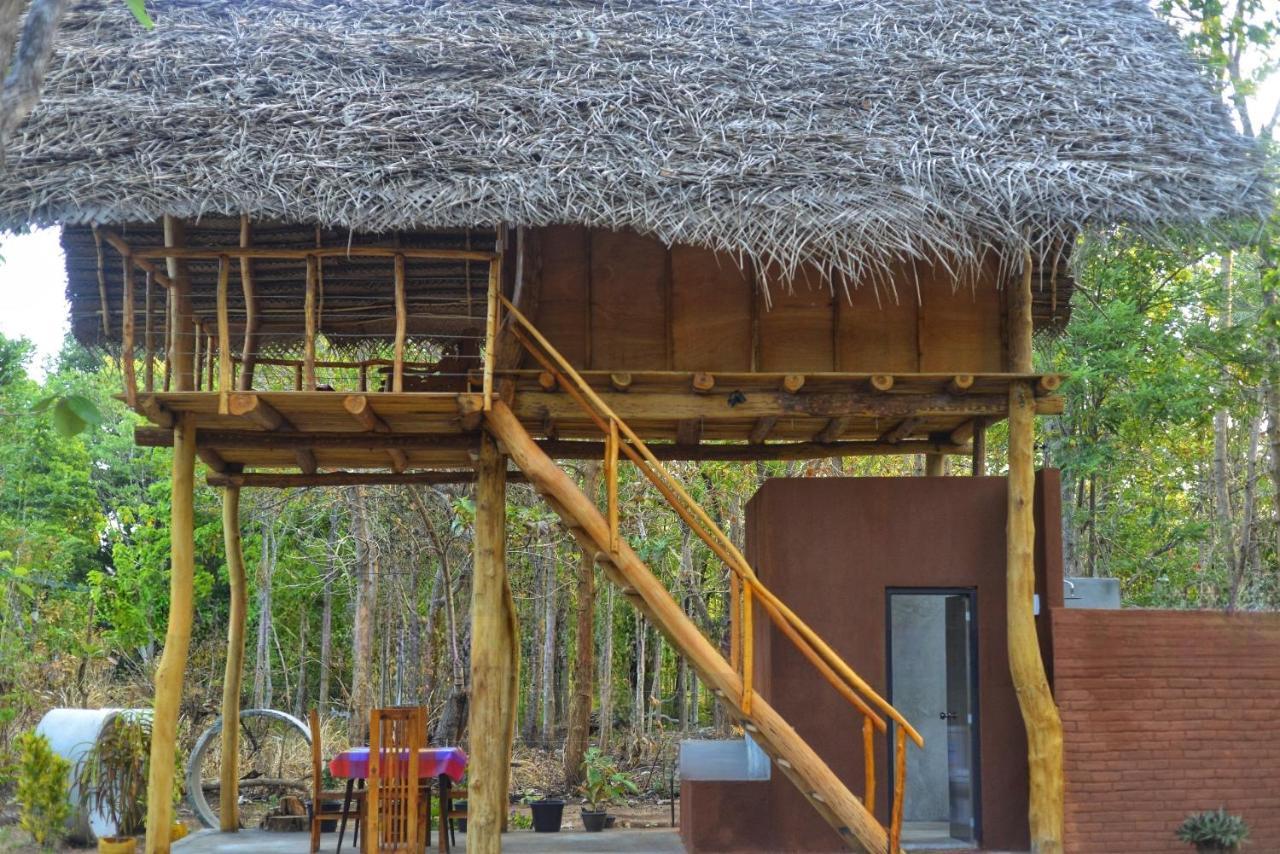 Pidurangala View Treehouse Homestay Sigiriya