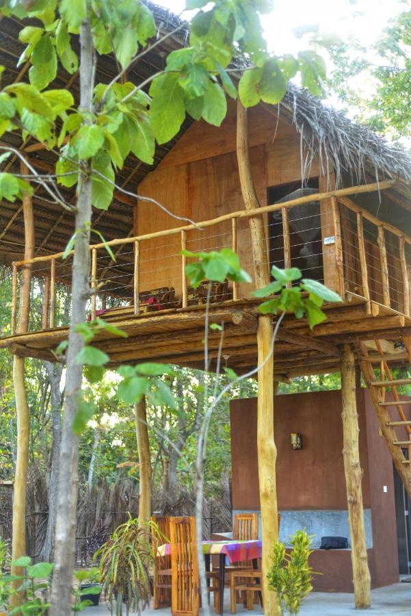 Pidurangala View Treehouse Homestay Sigiriya