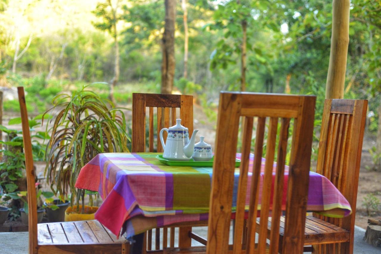 Homestay Pidurangala View Treehouse Sigiriya