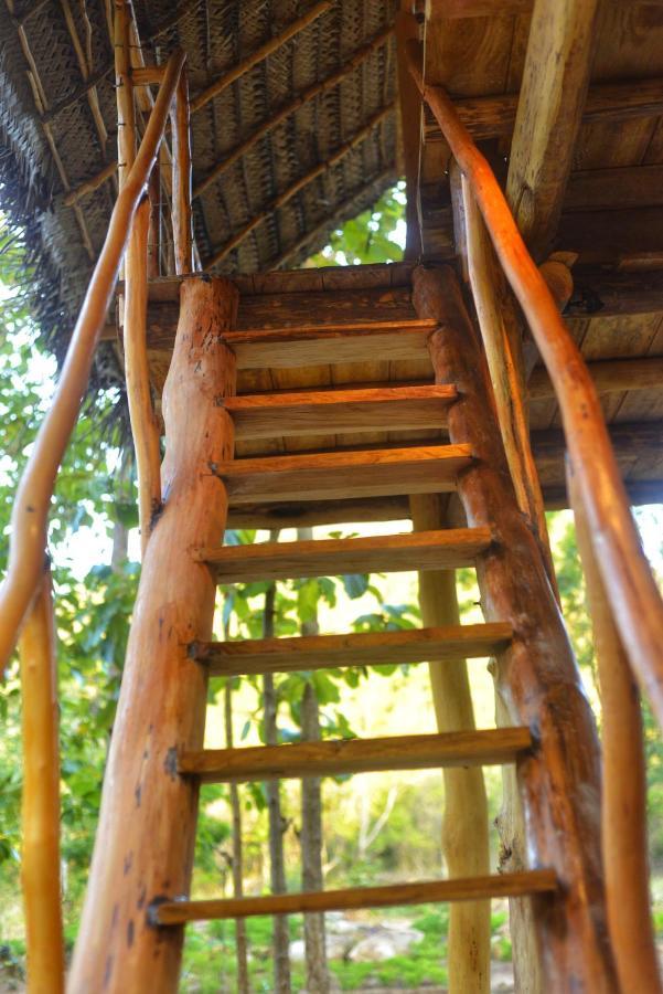 Pidurangala View Treehouse Homestay