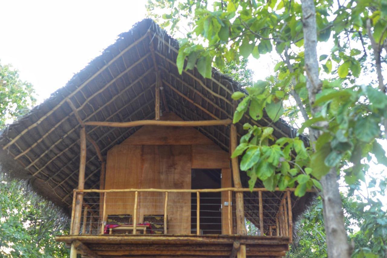 Homestay Pidurangala View Treehouse Sigiriya