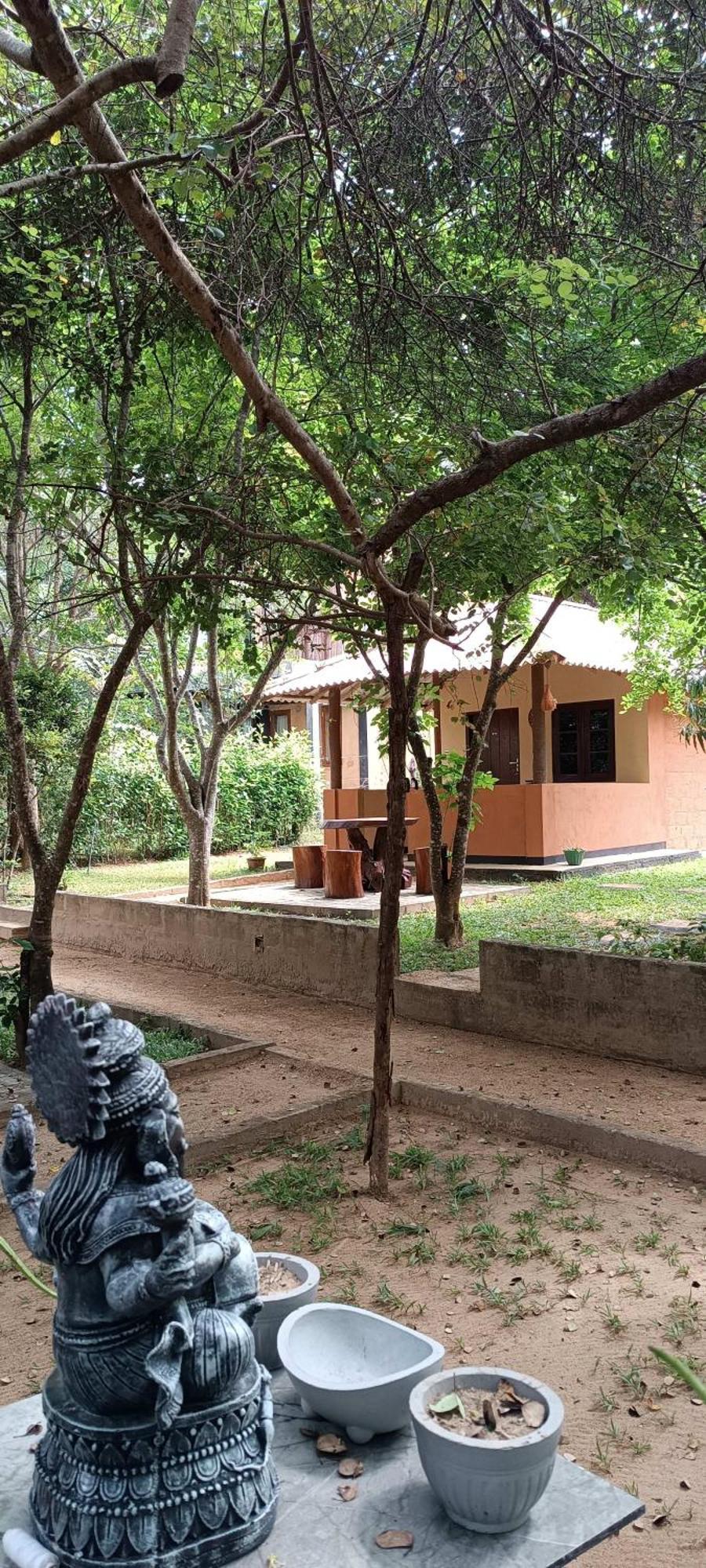 Niyagala Lodge Sigiriya