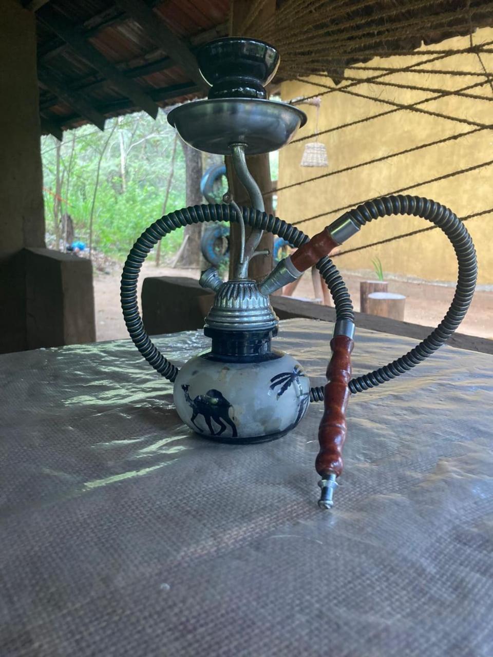 Ali Adi Eco *