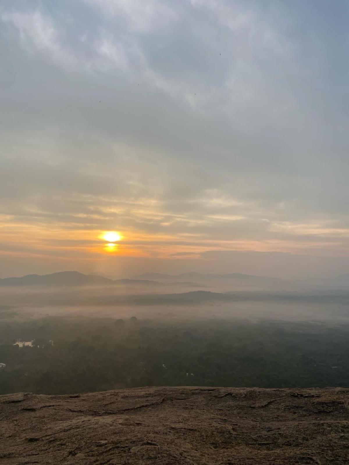 Sigiri Arana * Sigiriya