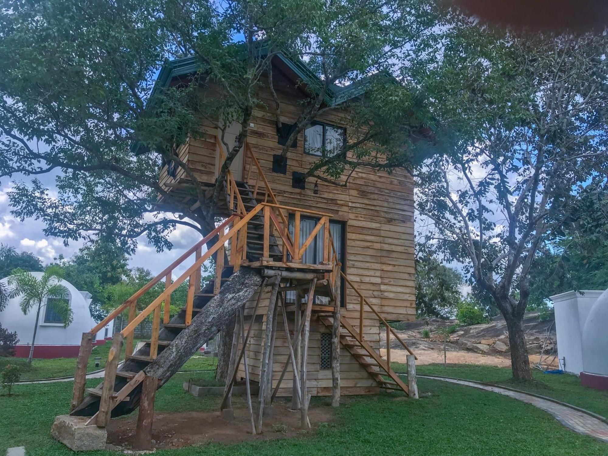 Hotel The Lion Kingdom