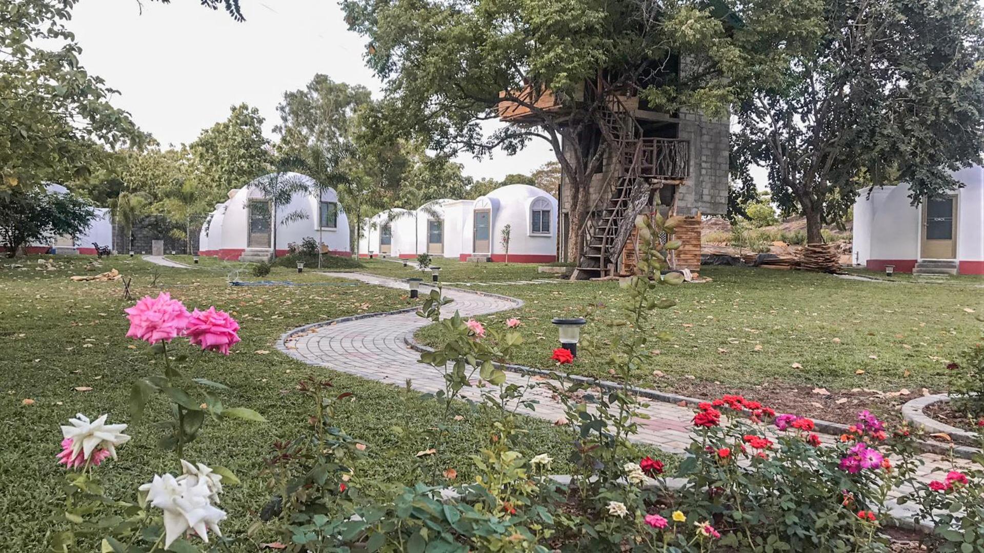 Hotel The Lion Kingdom 4*